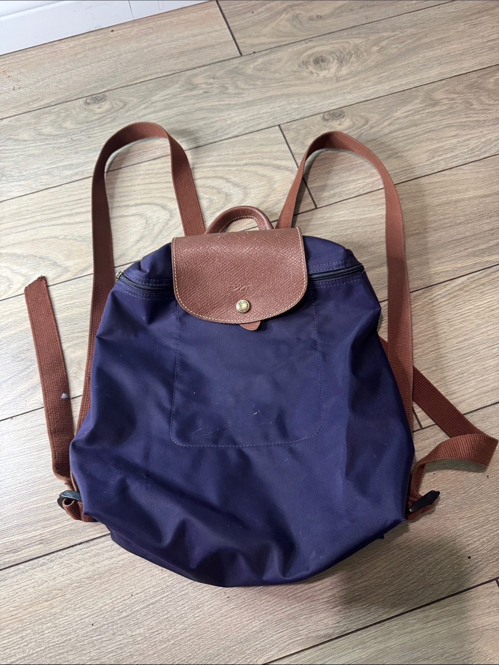 Longchamp  Purple Backpack